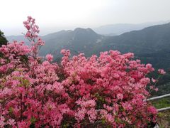 -木兰云雾山