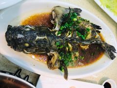 葱油石斑鱼-渔中舟海鲜大排档(普陀沈家门店)