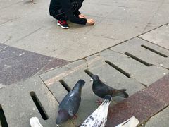 -陕西科学技术馆