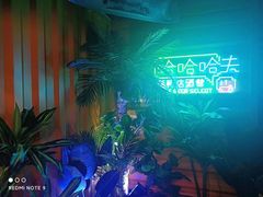 -哈夫酒馆(齐齐哈尔龙华路店)