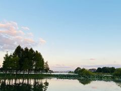 -贡湖湾湿地公园