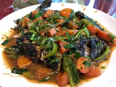 -生态苑农庄(十里画廊遇龙河店)