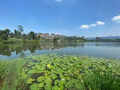 -枫香湖儿童公园