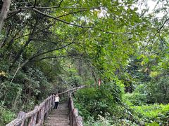 -秦岭终南山世界地质公园翠华山景区
