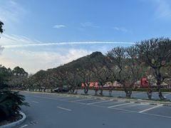 -寻味顺德·顺峰山庄(大良店)