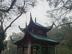 -岳麓书院