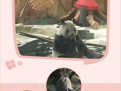 -泉州海丝野生动物世界