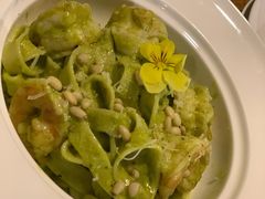 -百好乐宠物友好餐厅(朝外大街店)