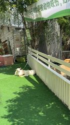 -可可天空农场(中大店)