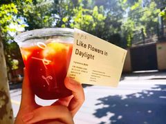 Like&nbsp;Flowers&nbsp;in&nbsp;Daylight-O.P.S. CAFE