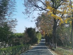 -莫干山风景区