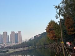 -重庆彩云湖湿地公园