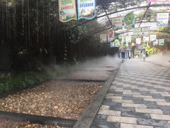 -森波拉火山温泉