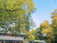 -济南大明湖景区