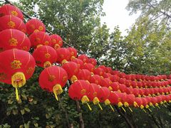 -南国桃园旅游度假区