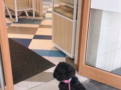 -85度C(上海松江九亭店)