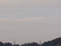 -新建村梅花