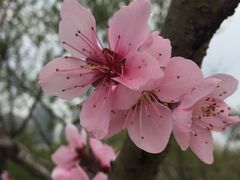 -白塘生态植物园