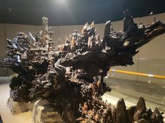 -乐山乌木文化博览苑