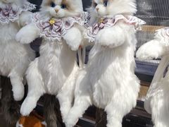 -校园传说(槐房万达广场店)