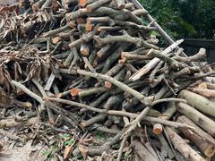 -陈岱后山窑鸡店