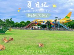 -苏州太湖西山岛开心农场