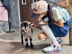 -Zoolung Zoolung动物主题公园(海信广场店)