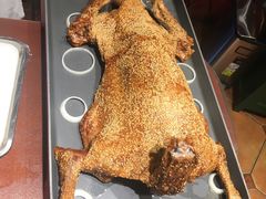 -九十九顶毡房(阜石路店)