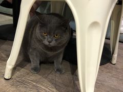 -小时光咖啡馆(开森度假森林店)