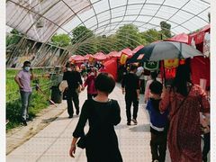 -秀丽东方