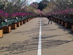-观澜湖生态运动公社