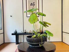 -鮨匠·割烹料理(巨鹿花园店)