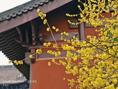 -钱王祠