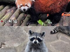 -云南野生动物园