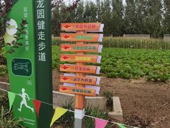 -青龙湖公园