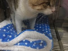 -爱侣宠医·鹦鹉专科·小型哺乳类·异宠专科(灵石路店)