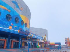 -海合安青岛极地海洋公园
