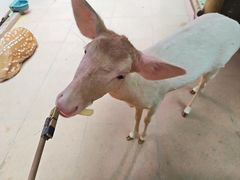 -正佳雨林生态植物园