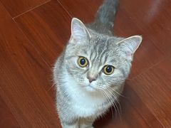 -康成宠物医院24H·CT·核磁共振