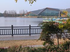 -上海长兴岛郊野公园