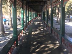 -五道口枣糕王(成府路店)