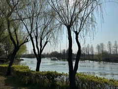 -白塔湖国家湿地公园