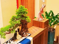 -鼎族怡华·指压·油压·经络(西单昌盛大厦店)
