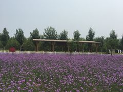 -渔岛海洋度假区