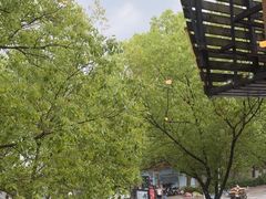 -BISTROFIORE美伊娜(伊犁南路店)