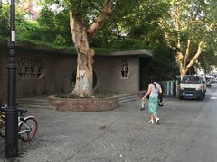 -殷姐糯米包油条