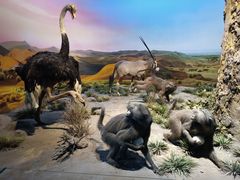 -国家自然博物馆