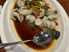 -顺德了能馆(虎门店)