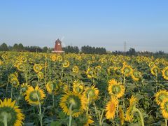 -君乐宝优致牧场