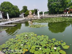 -尚湖风景区